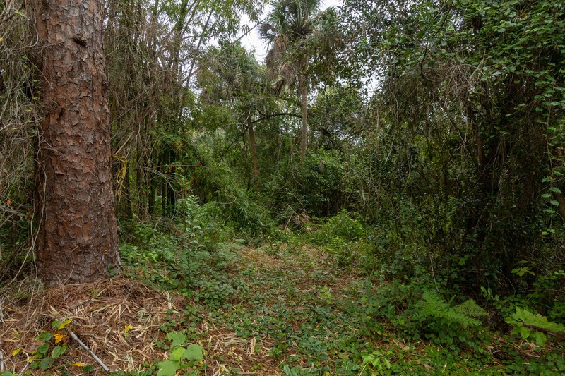 Undisclosed Address Sebastian, FL 32958 - Photo 10 of 22