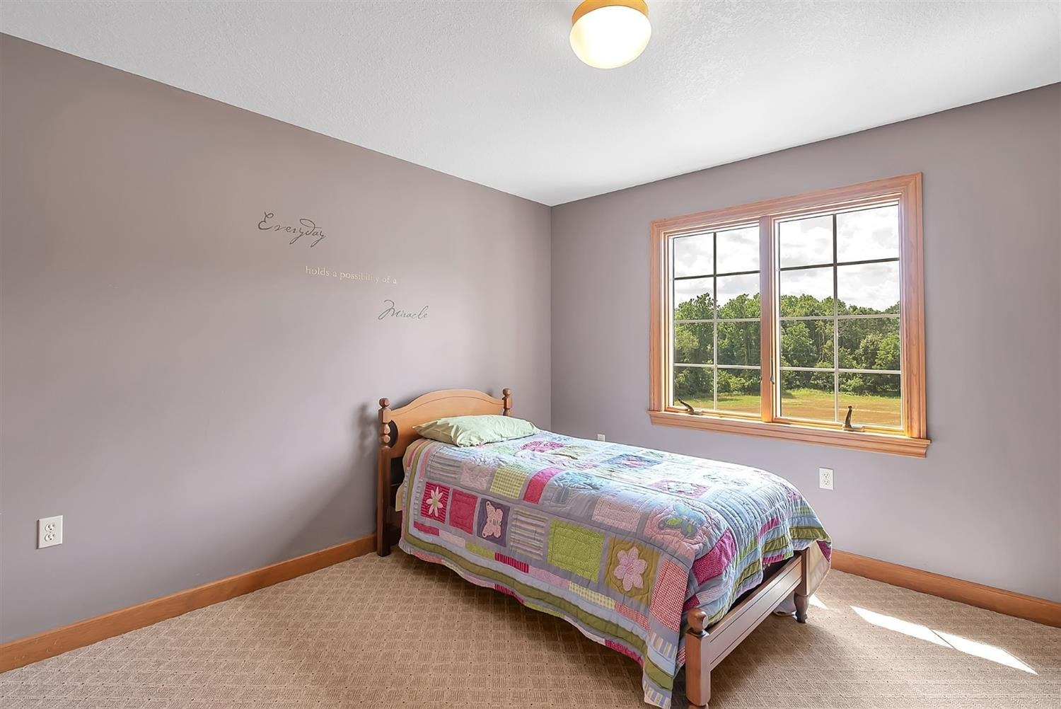 9909 Hogan Road Manchester, MI 48158 - Photo 52 of 67 Photo 52
