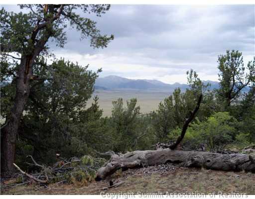 1115 Osprey Road Como, CO 80432 - Photo 1 of 11 a view of a city with lush green forest