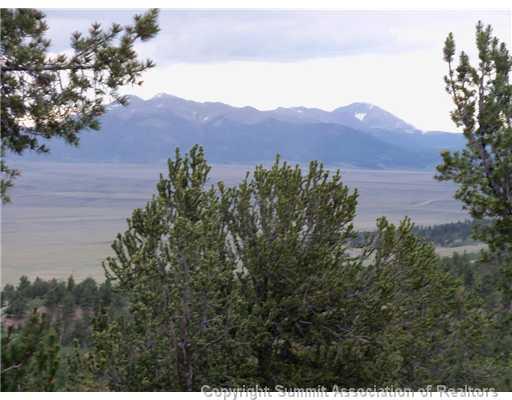 1115 Osprey Road Como, CO 80432 - Photo 3 of 11 a view of a lush green field with mountains in the background