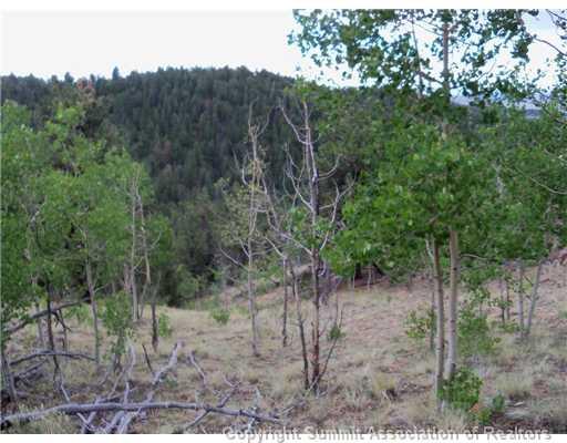 1115 Osprey Road Como, CO 80432 - Photo 7 of 11 a view of a forest with trees in the background