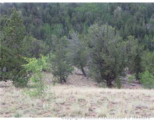 1115 Osprey Road Como, CO 80432 - Photo 8 of 11 a view of a forest with trees in the background