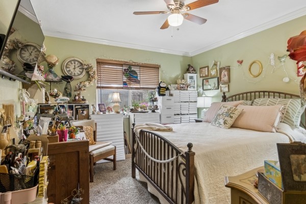 9211 Benwick Street Spring, TX 77379 - Photo 19 of 24 Large 2nd Bedroom.