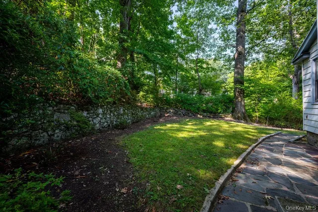 a view of a yard with plants and a bench