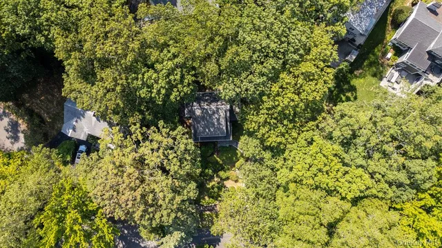 a plant that is sitting in a garden