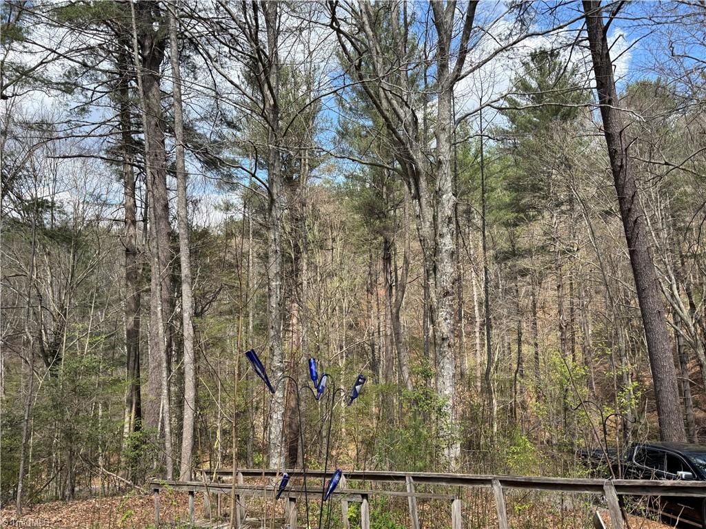 647 Boone Gap Road Boomer, NC 28606 - Photo 13 of 22