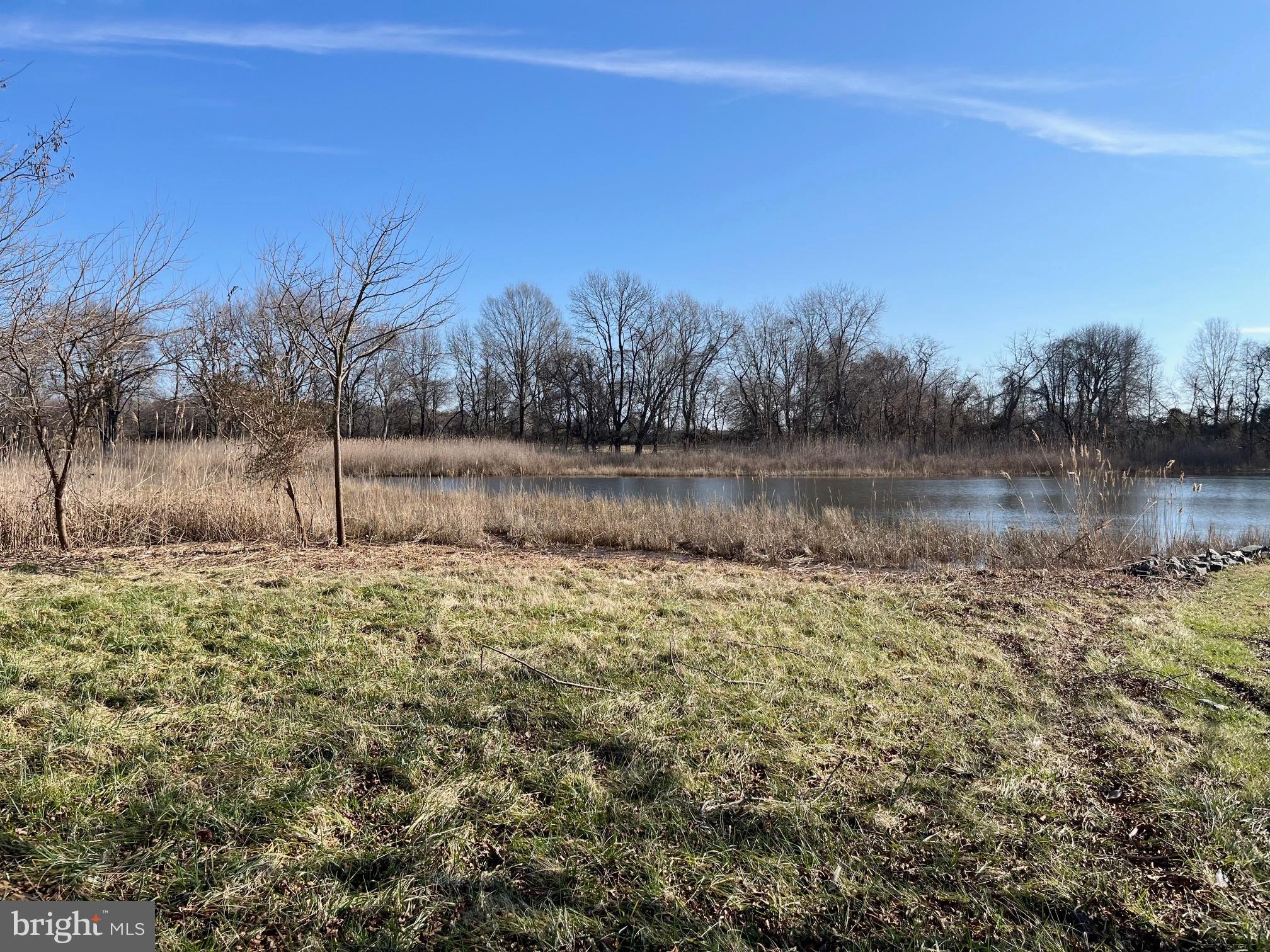 203 Riverside Drive Chester, MD 21619 - Photo 5 of 8 a view of a lake view