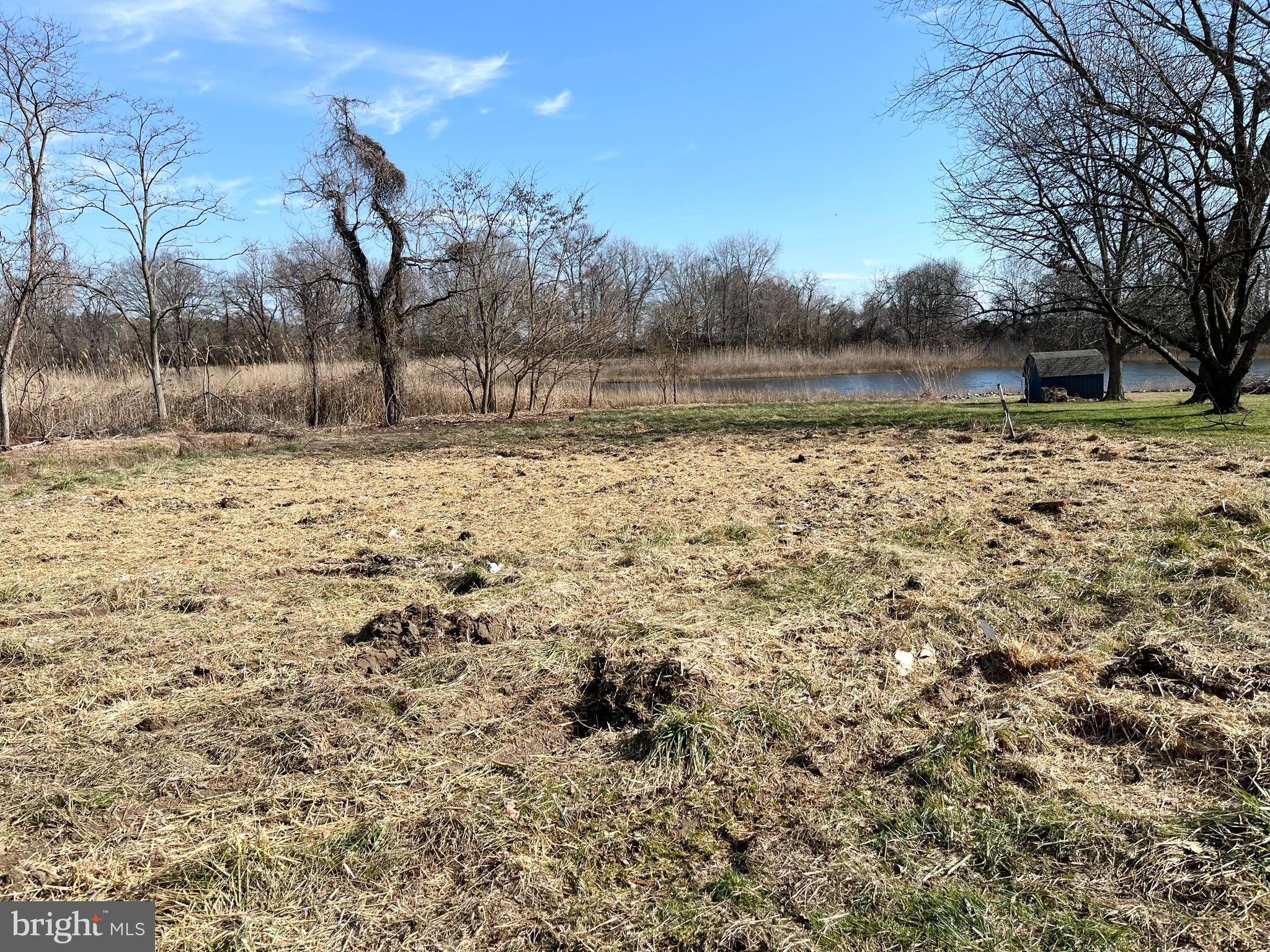 203 Riverside Drive Chester, MD 21619 - Photo 7 of 8 a view of a yard with a house