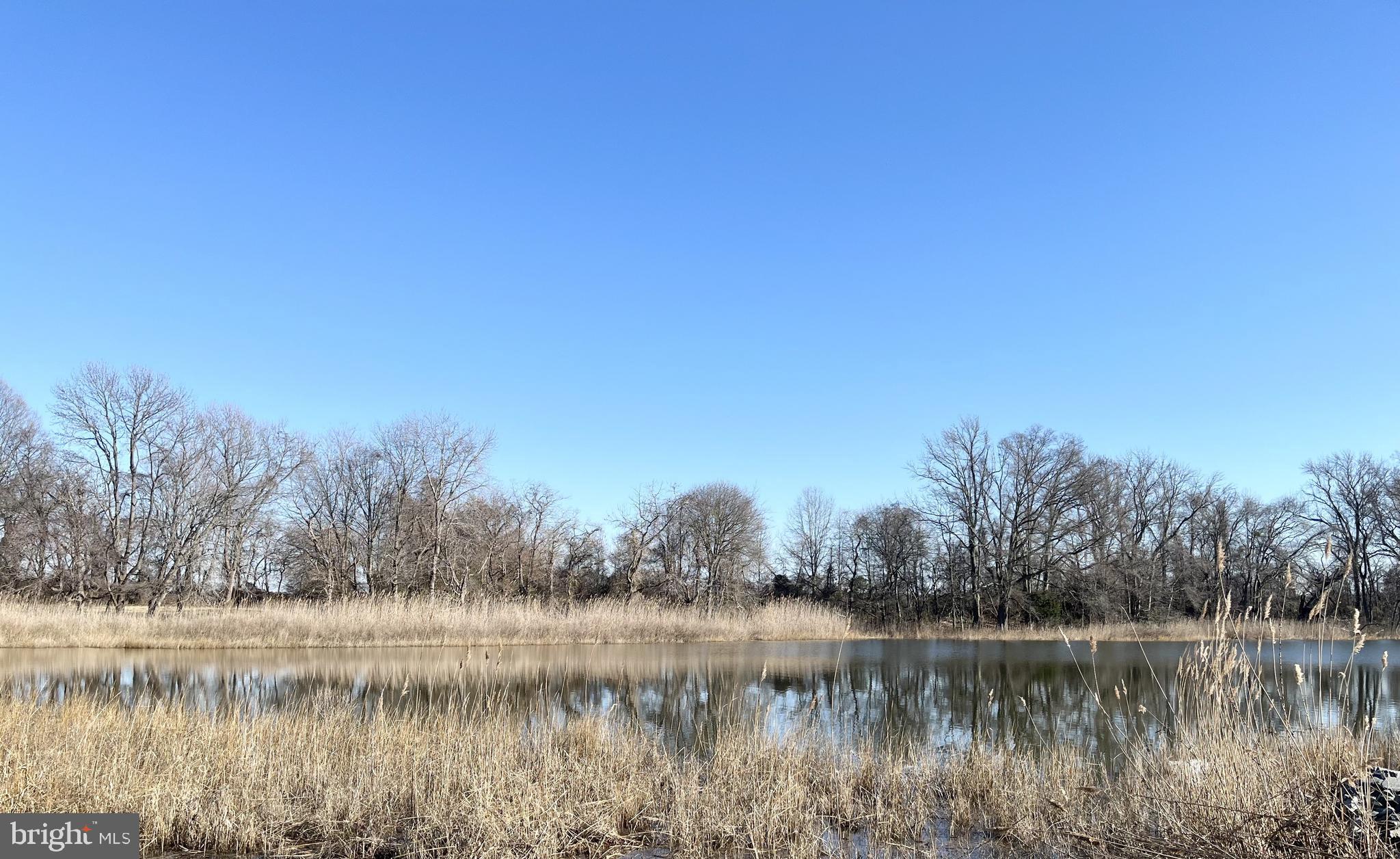 203 Riverside Drive Chester, MD 21619 - Photo 8 of 8 a view of a lake with houses in the background