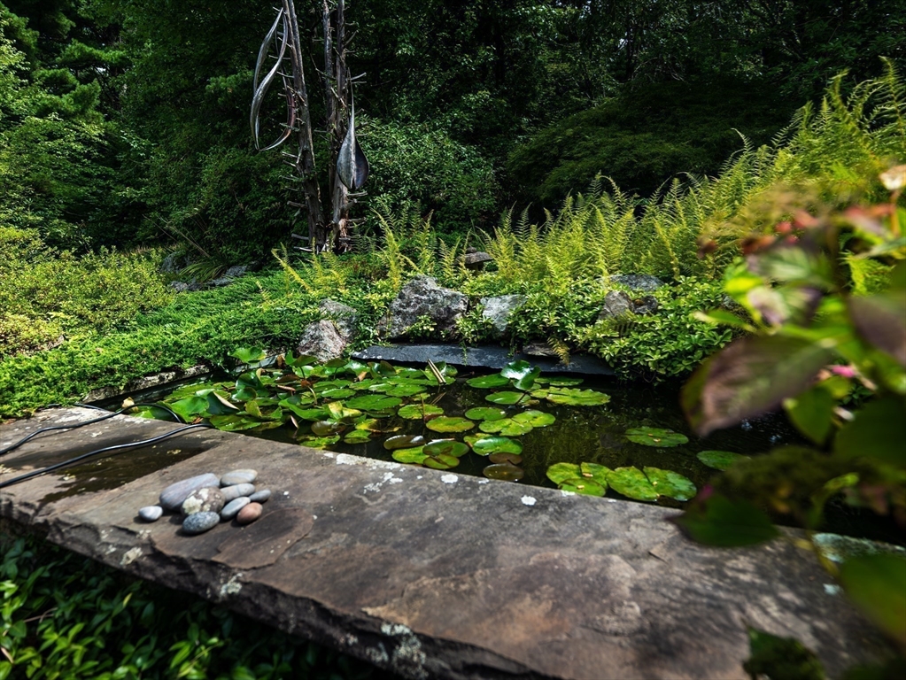 1 Long Plain Road Leverett, MA 01054 - Photo 36 of 39 a view of a garden with plants