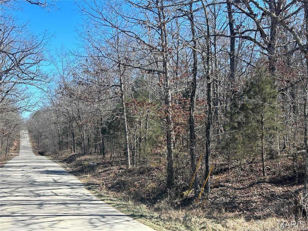 0 So Of Co Road Poplar Bluff, MO 63901 - Photo 3 of 9