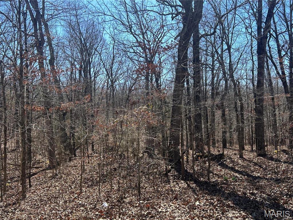 0 So Of Co Road Poplar Bluff, MO 63901 - Photo 4 of 9