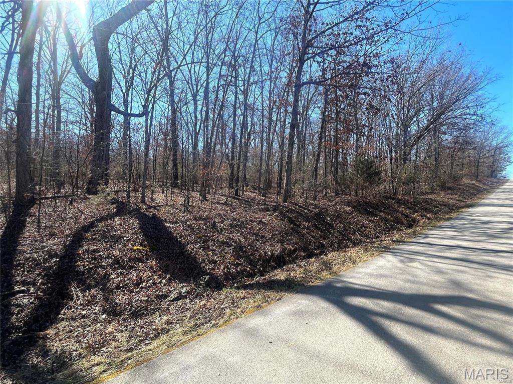 0 So Of Co Road Poplar Bluff, MO 63901 - Photo 5 of 9