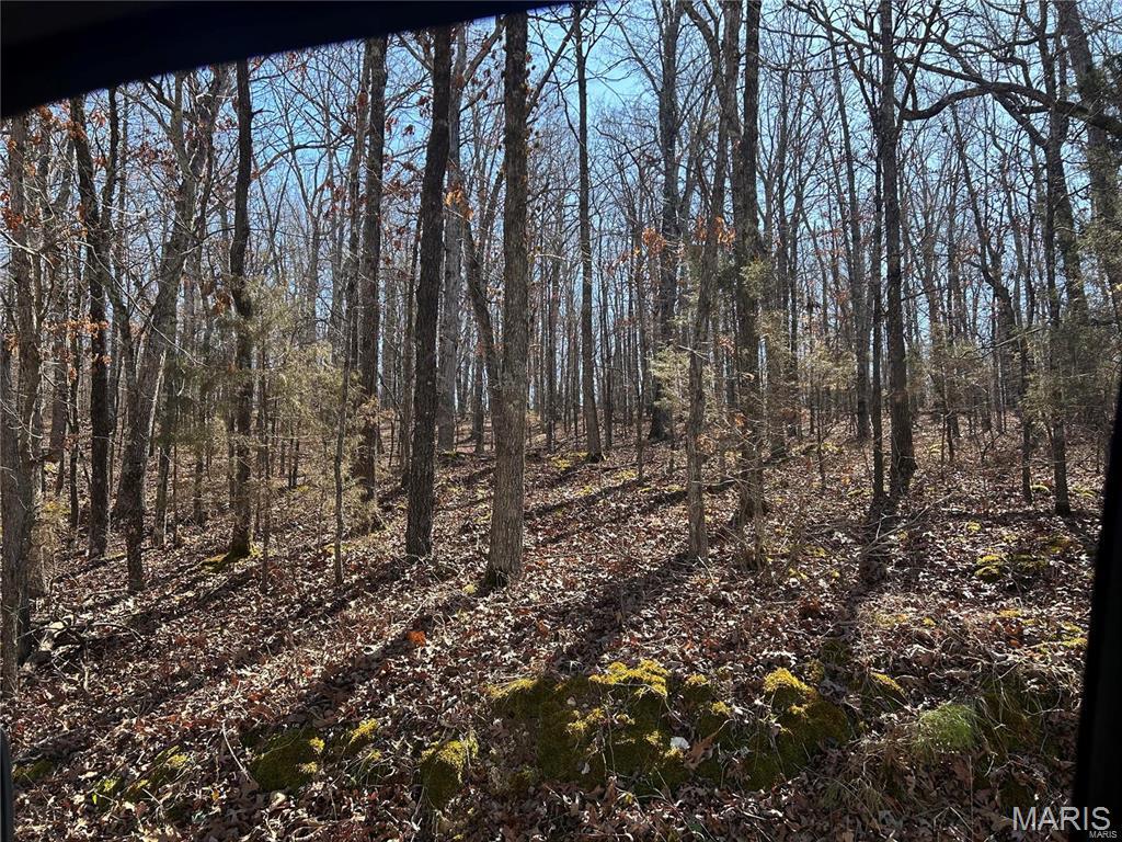 0 So Of Co Road Poplar Bluff, MO 63901 - Photo 6 of 9