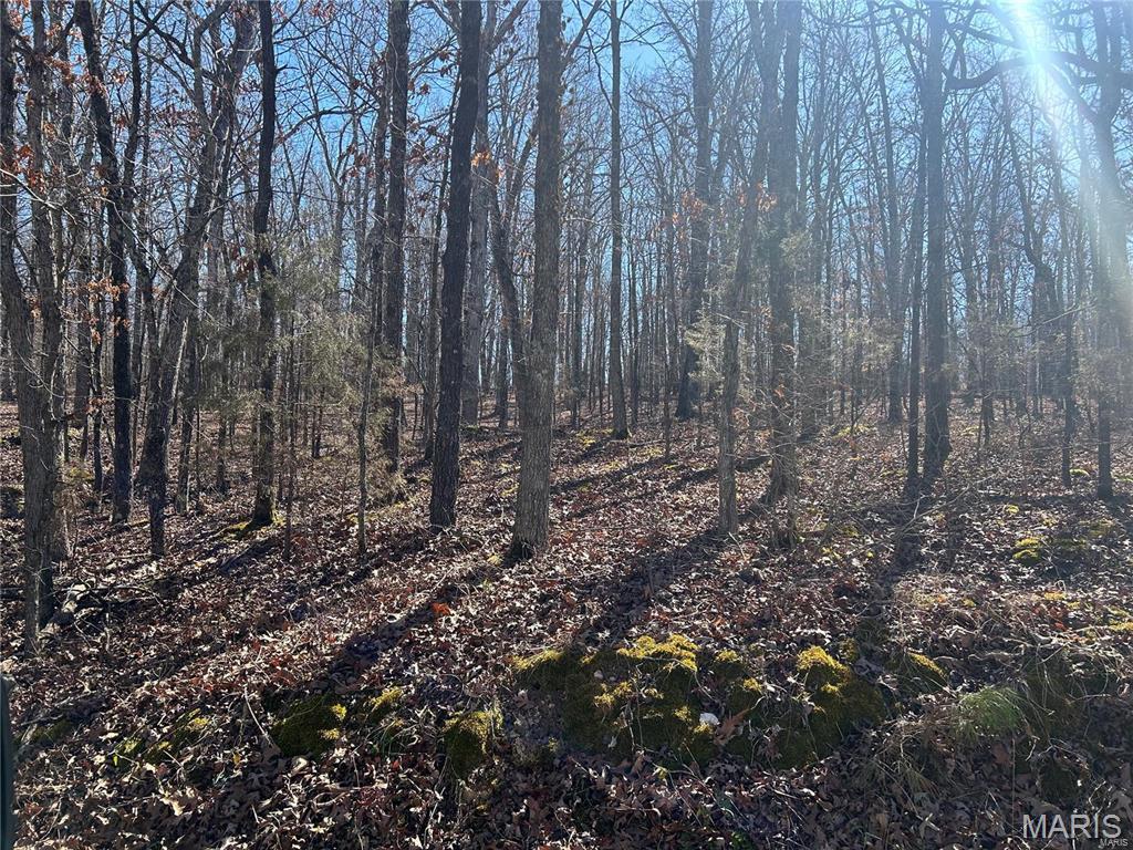 0 So Of Co Road Poplar Bluff, MO 63901 - Photo 7 of 9