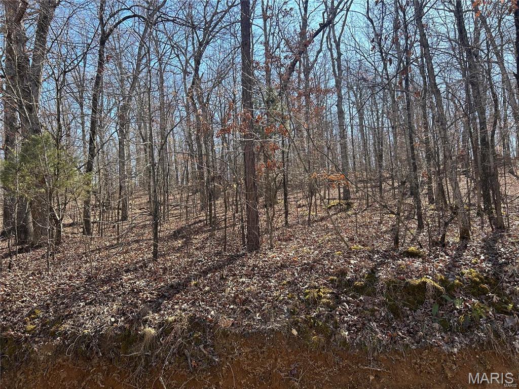 0 So Of Co Road Poplar Bluff, MO 63901 - Photo 8 of 9