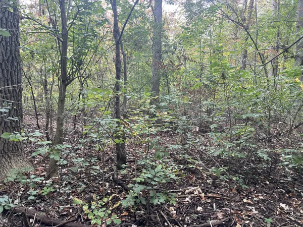 $35,000 | Riverdale Road, Whitmore Lake, MI 48189