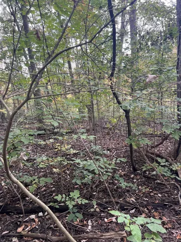 $35,000 | Riverdale Road, Whitmore Lake, MI 48189