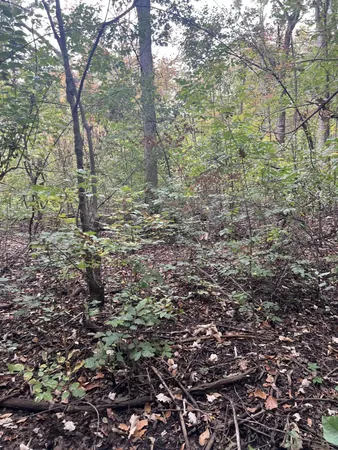 $35,000 | Riverdale Road, Whitmore Lake, MI 48189