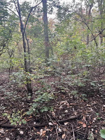 $35,000 | Riverdale Road, Whitmore Lake, MI 48189