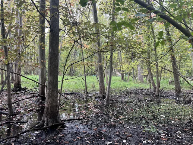 $35,000 | Riverdale Road, Whitmore Lake, MI 48189