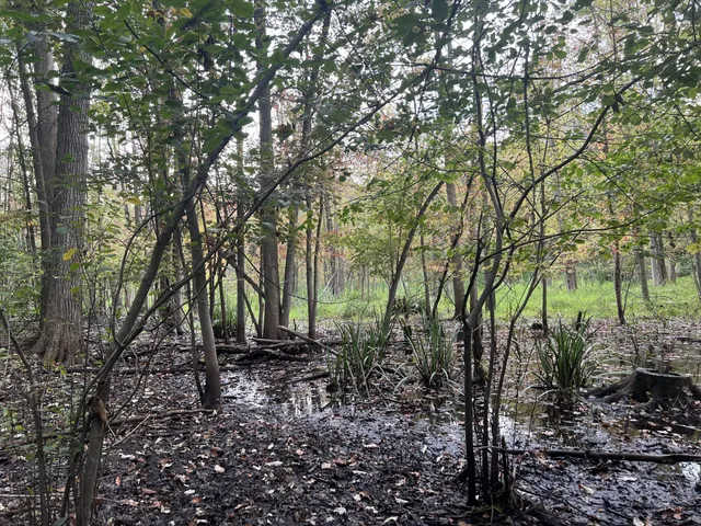 $35,000 | Riverdale Road, Whitmore Lake, MI 48189