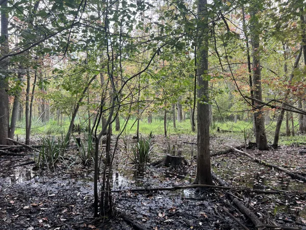 $35,000 | Riverdale Road, Whitmore Lake, MI 48189