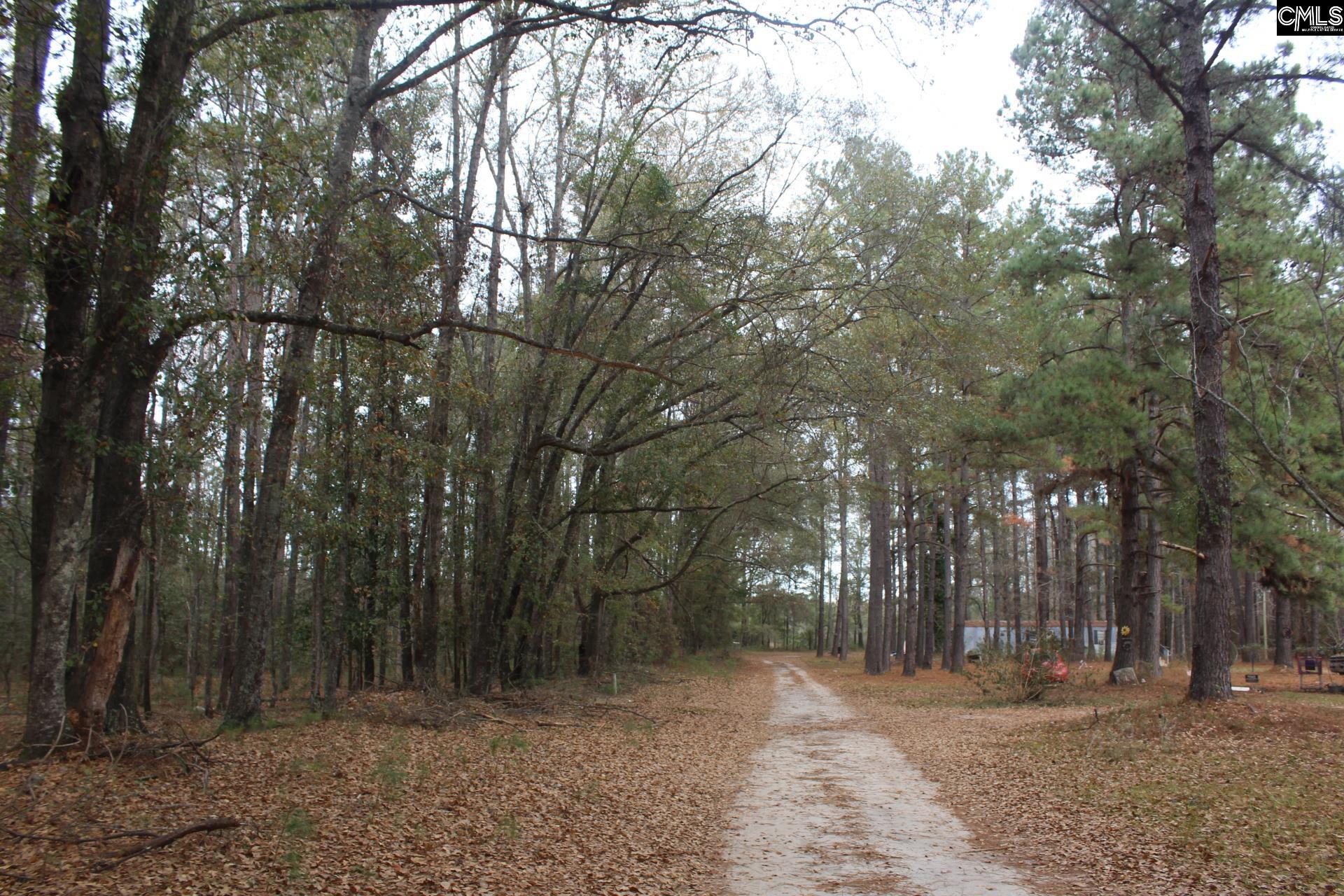 220 Ivory Street Cope, SC 29038 - Photo 7 of 14