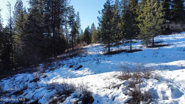 $99,900 | 158 Glacir Drive, St. Maries, ID 83861