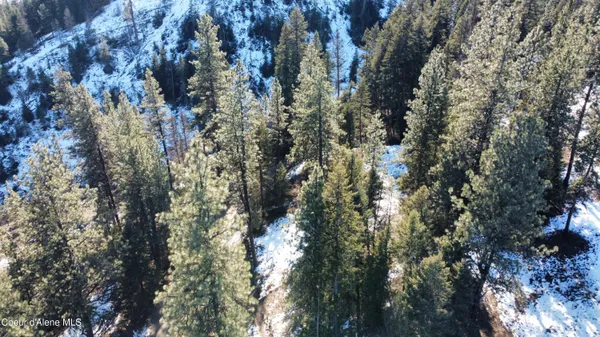 $99,900 | 158 Glacir Drive, St. Maries, ID 83861