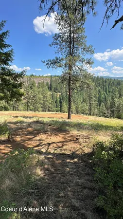 $99,900 | 158 Glacir Drive, St. Maries, ID 83861