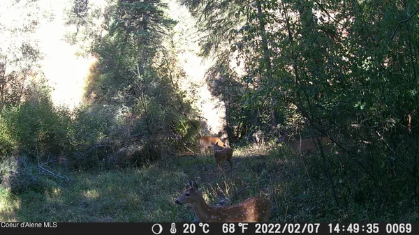 $99,900 | 158 Glacir Drive, St. Maries, ID 83861