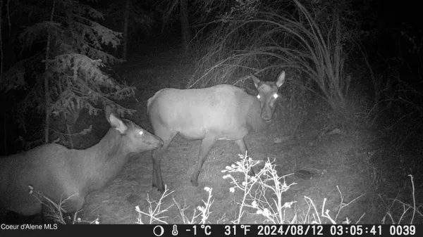 $99,900 | 158 Glacir Drive, St. Maries, ID 83861