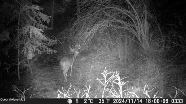 $99,900 | 158 Glacir Drive, St. Maries, ID 83861