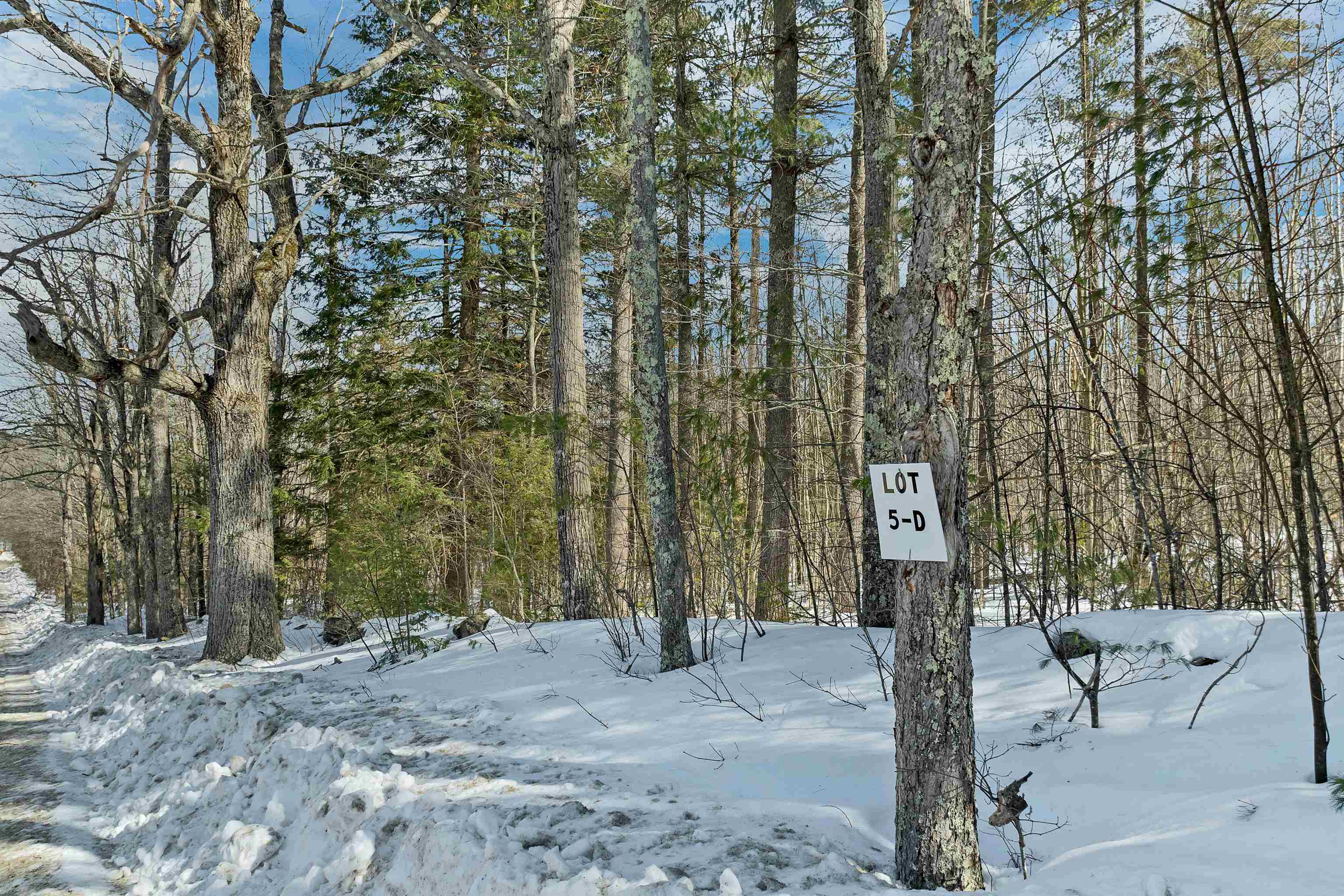 Lot 5 Phineas Graves Road Center Tuftonboro, NH 03816 - Photo 11 of 17