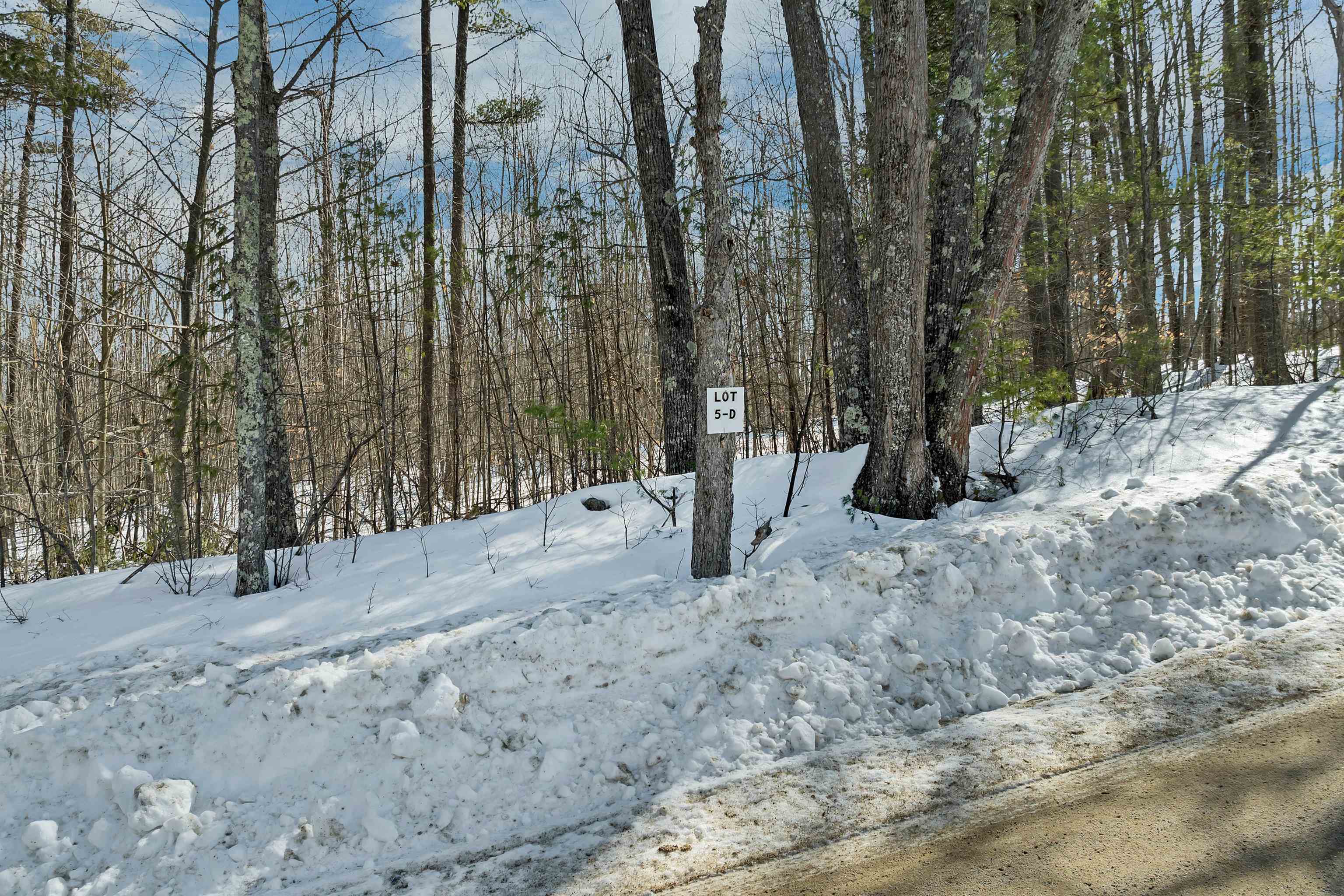 Lot 5 Phineas Graves Road Center Tuftonboro, NH 03816 - Photo 9 of 17