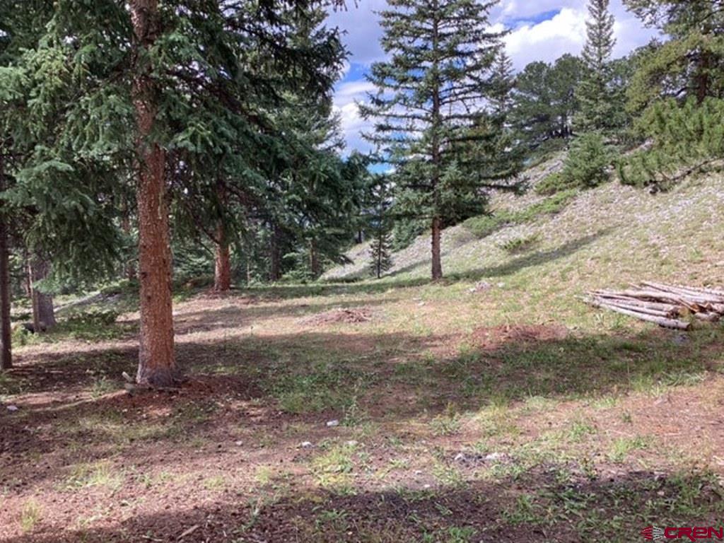 377 Royal Road Pitkin, CO 81241 - Photo 1 of 10 Gallery Image 1