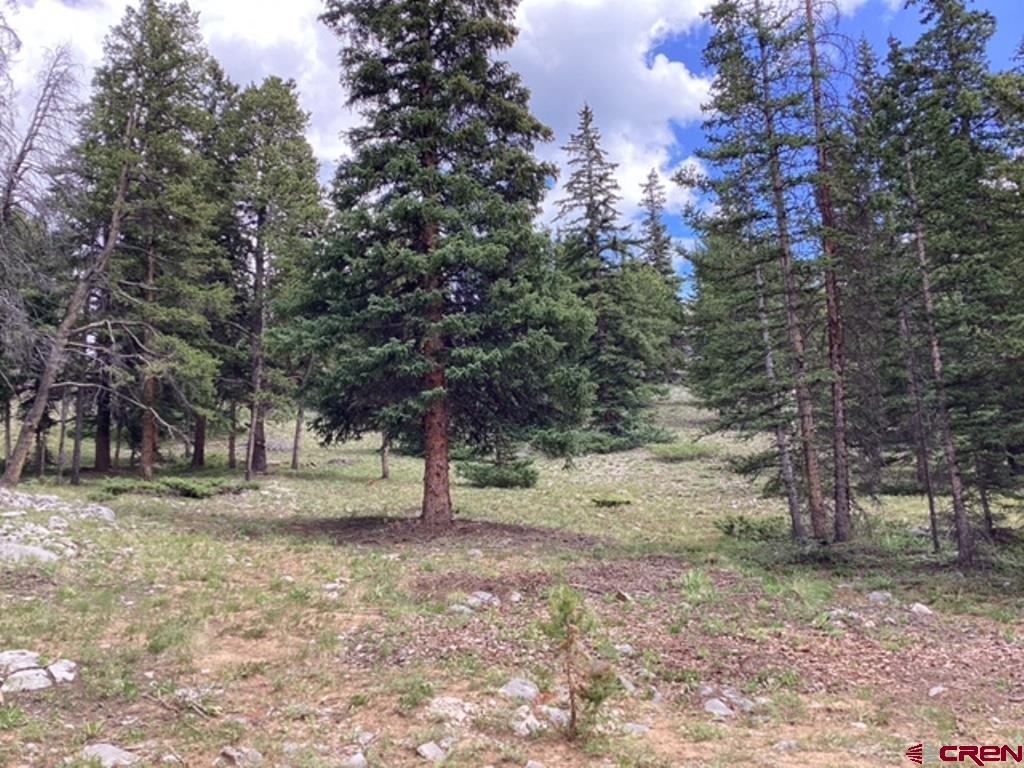 377 Royal Road Pitkin, CO 81241 - Photo 2 of 10 Gallery Image 2