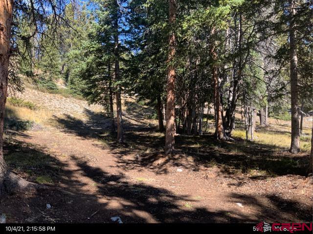 377 Royal Road Pitkin, CO 81241 - Photo 7 of 10 Gallery Image 7