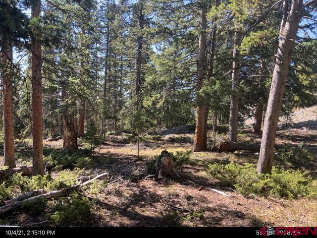 377 Royal Road Pitkin, CO 81241 - Photo 9 of 10 Gallery Image 9