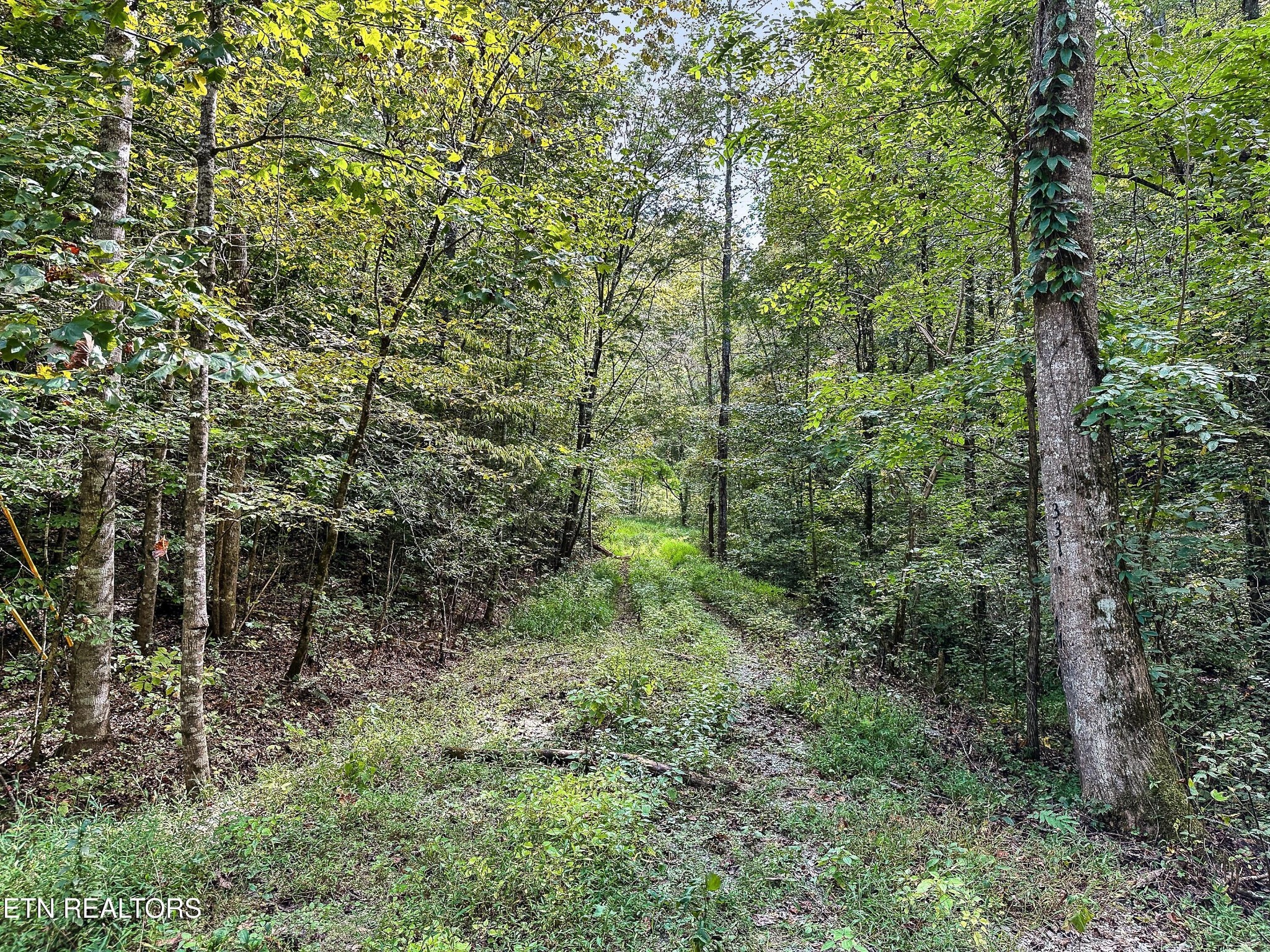 0 Chestnut Ridge Road Walland, TN 37886 - Photo 1 of 3 Gallery Image 1