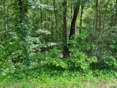 356 Highway 68 Decatur, TN 37322 - Photo 6 of 9 Gallery Image 6