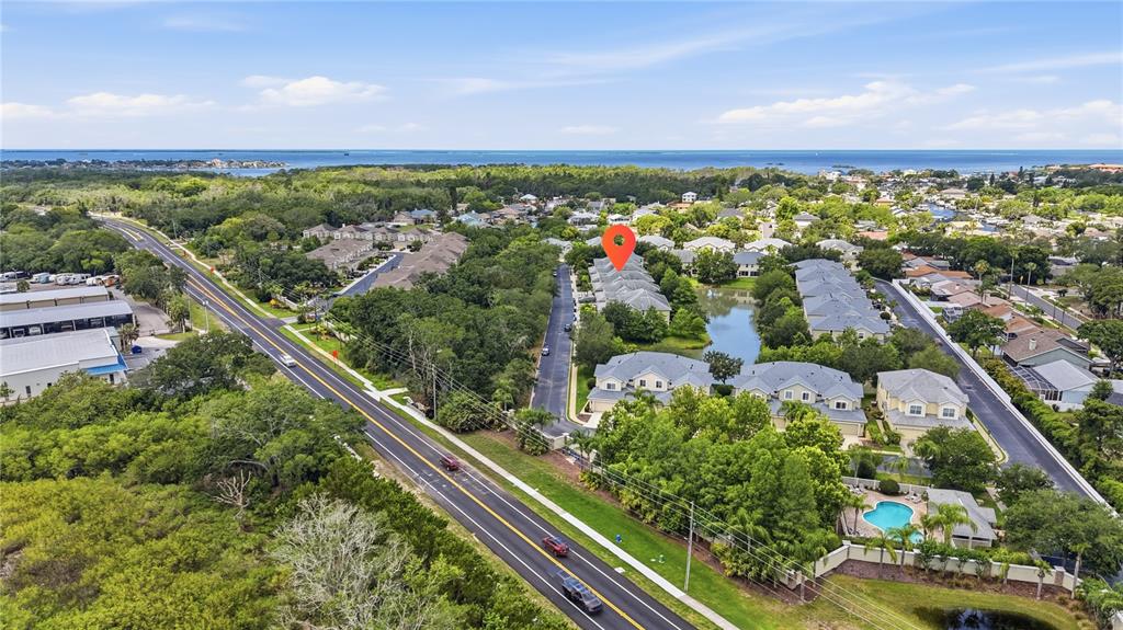 497 Harbor Ridge Drive Palm Harbor, FL 34683 - Photo 50 of 52