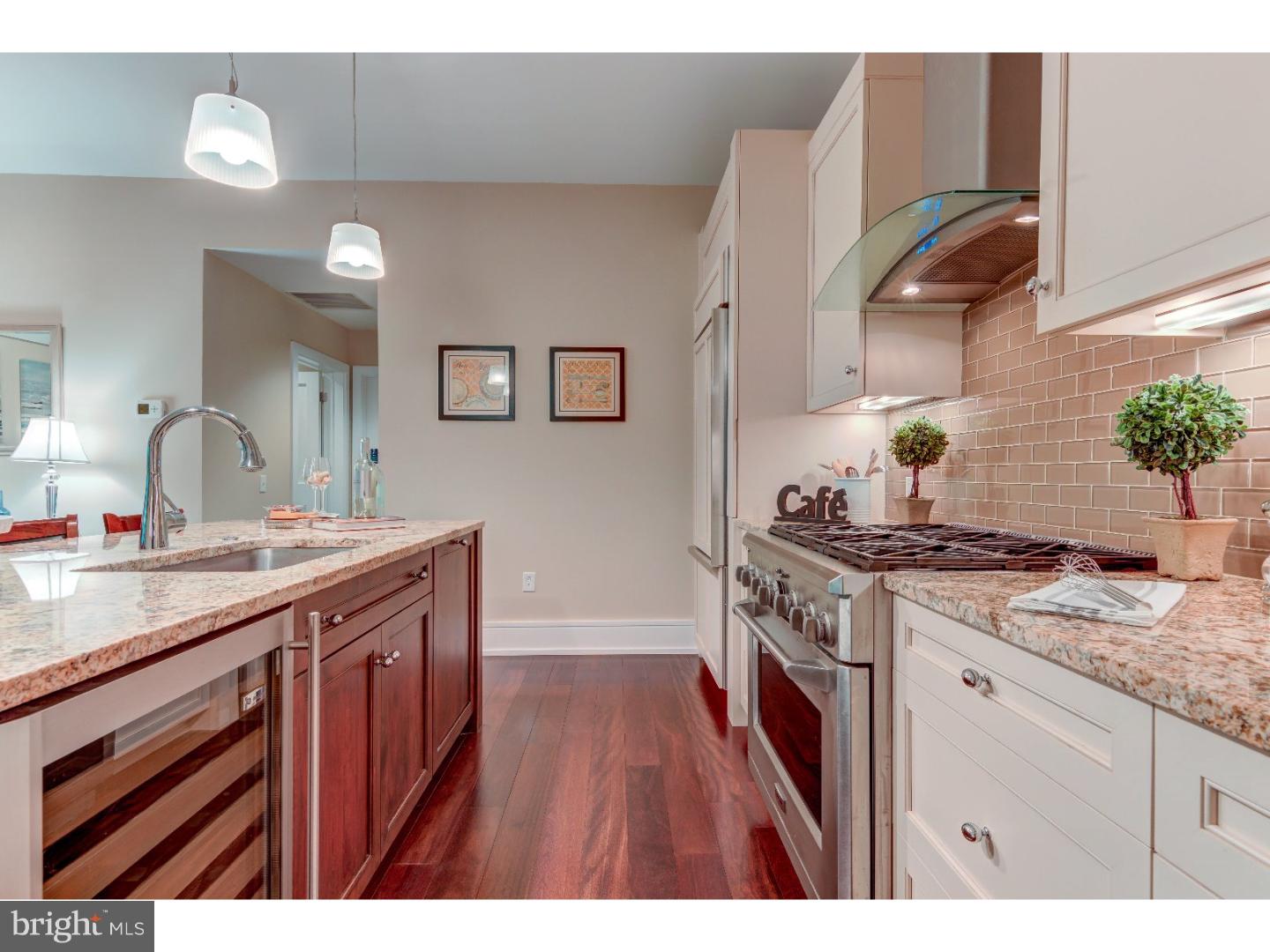 114 Iron Works Way Wayne, PA 19087 - Photo 8 of 24 Gallery Image 8