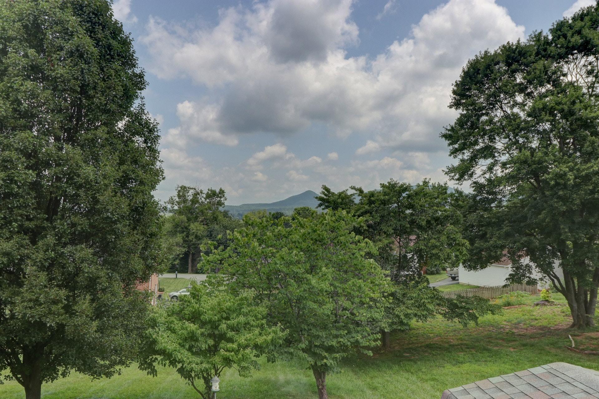 155 Winesap Road Roanoke, VA 24019 - Photo 21 of 46 021-281278-IMG_2582_3_4_5_6_6675540