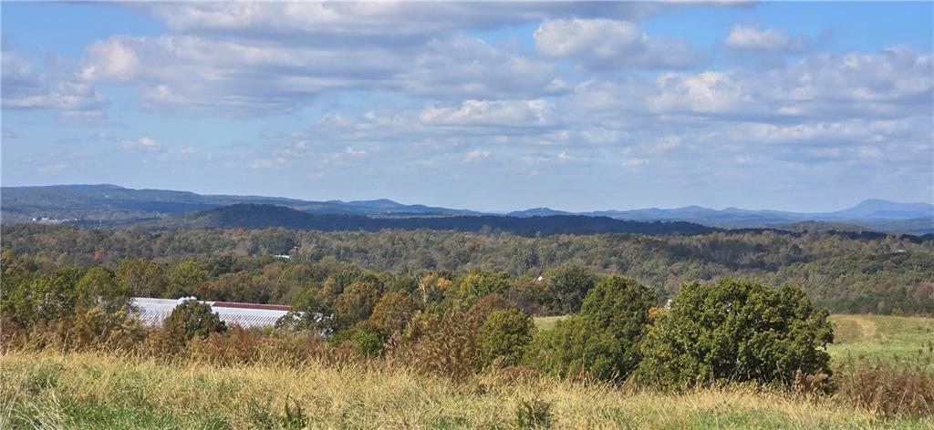 1350 Stivers Road Jasper, GA 30143 - Photo 11 of 69 a view of lake and mountain