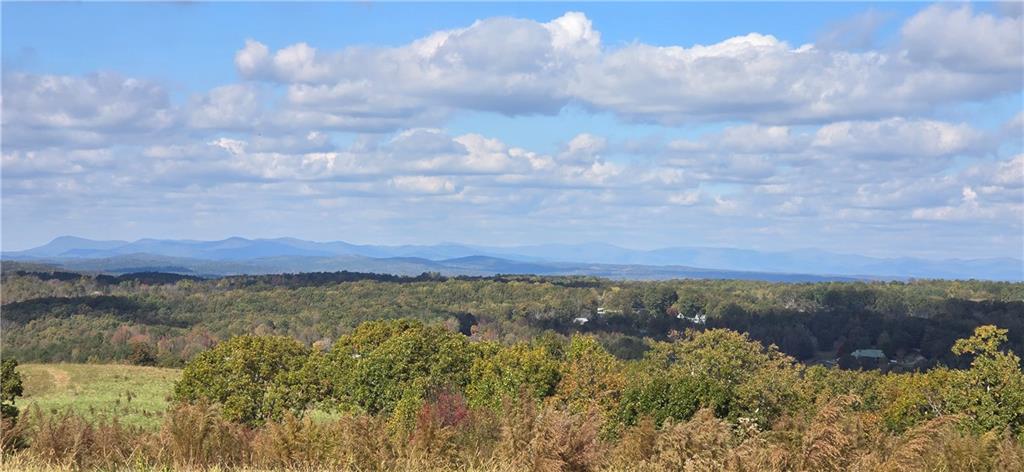 1350 Stivers Road Jasper, GA 30143 - Photo 12 of 69 a view of lake and mountain