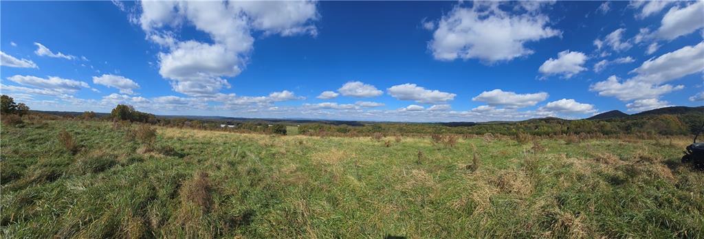 1350 Stivers Road Jasper, GA 30143 - Photo 16 of 69 a view of a yard