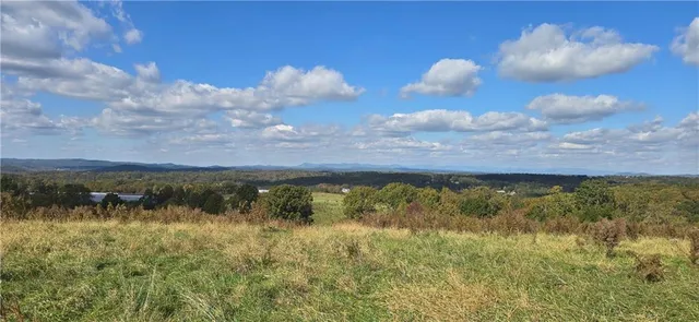 a view of a backyard with plants