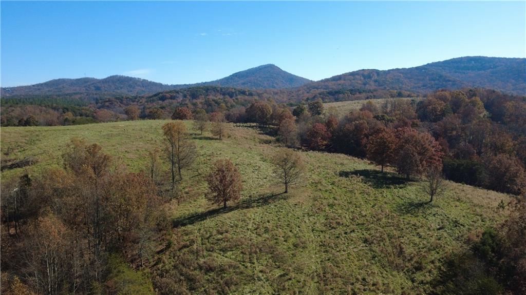 1350 Stivers Road Jasper, GA 30143 - Photo 23 of 69 a view of a town with mountains in the background